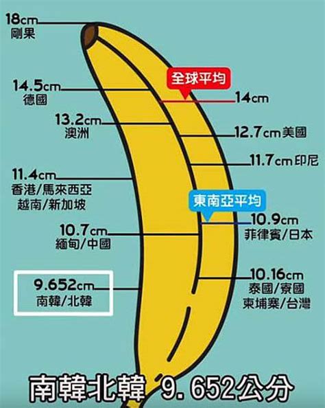 勃起前長度|人類陰莖尺寸